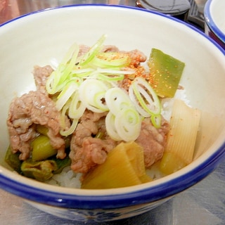 長ネギたっぷり！簡単ミニ牛丼